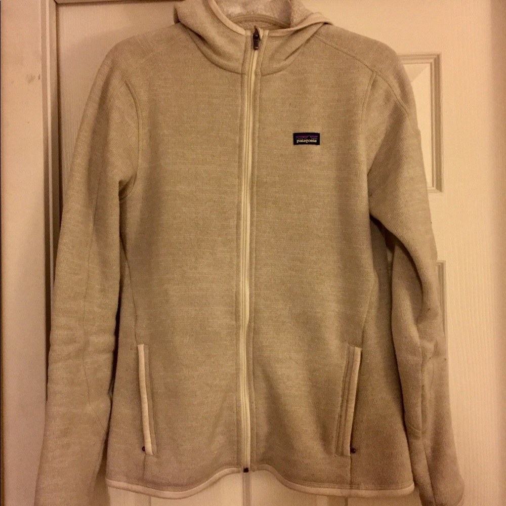 Patagonia Better Sweater Hoodie
